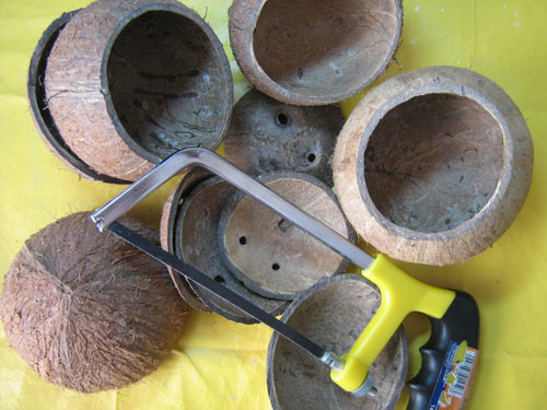 Заготовки из кокоса для маракас